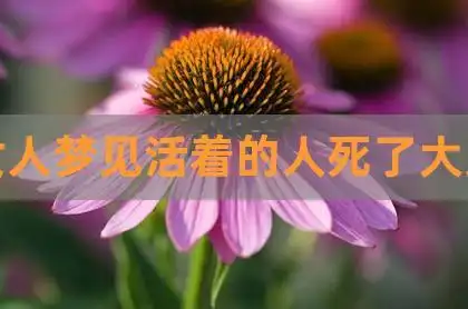 女人梦见活着的人死了大哭|梦见活着的奶奶去世自己大哭_梦到还在世的