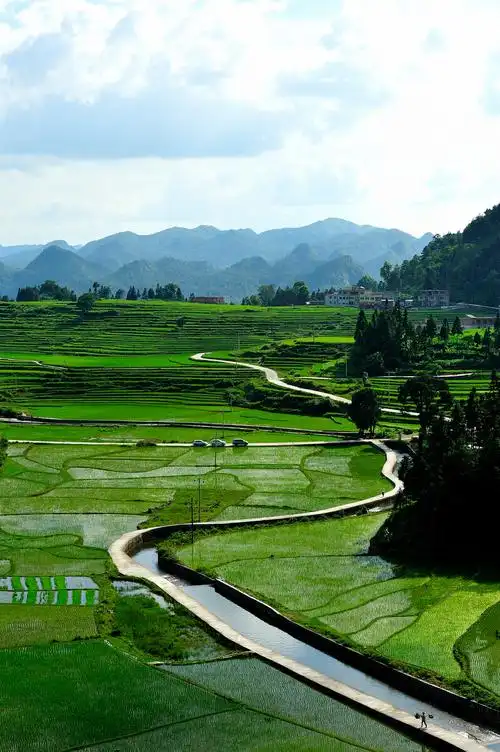 贵定的布依族山寨腊利村美丽的田园风光离不开劳作者