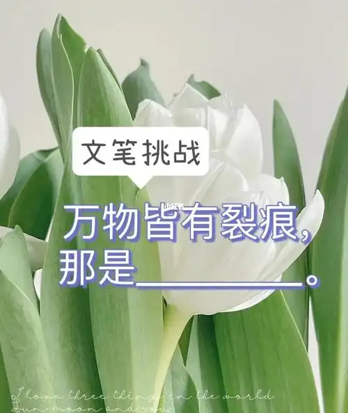 万物皆有裂痕那是文笔挑战