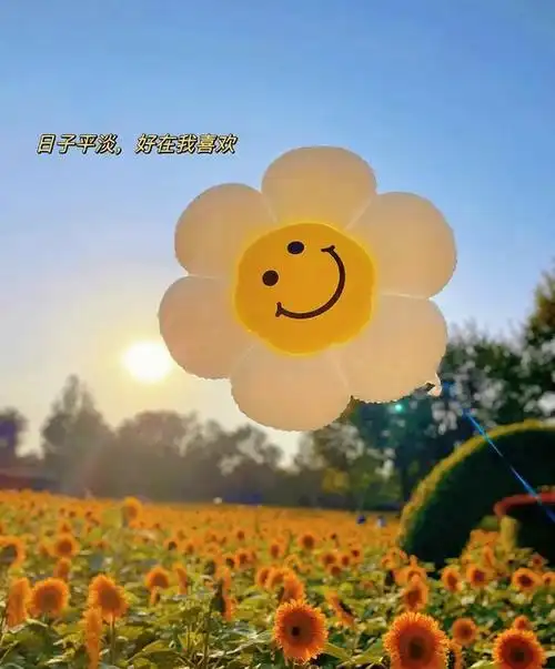 22个抖音很火的句子|我尽力喜欢过,但是聚散不由