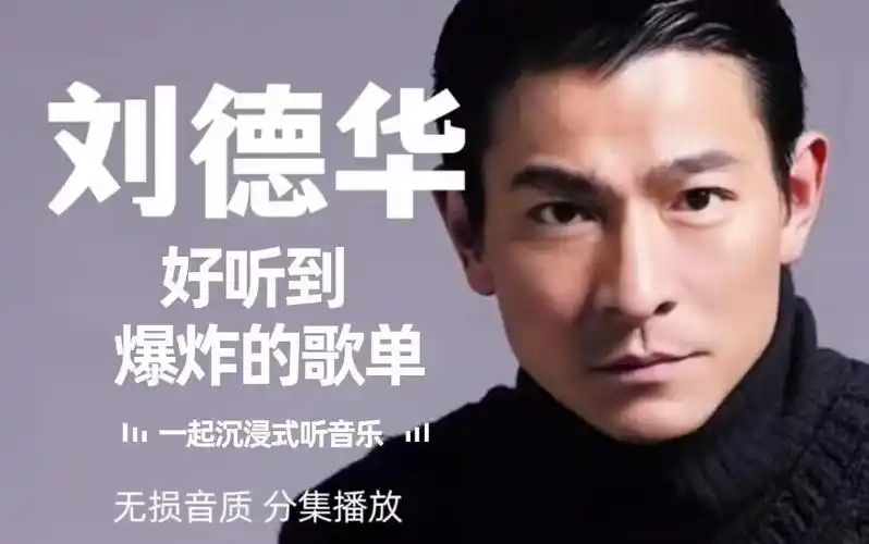 精选【刘德华】经典歌曲合集!