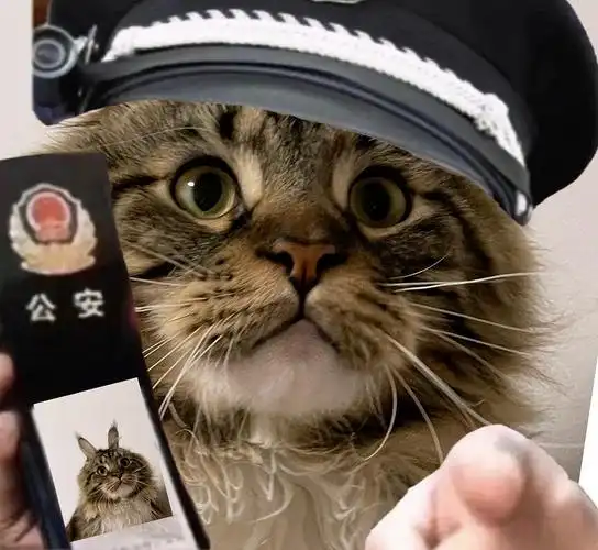 你已经被小猫咪逮捕了!