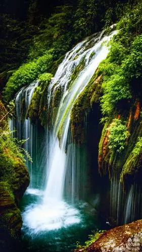 《风景.花卉.人像》学习篇1