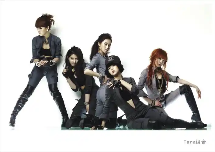 第66期明信片欣赏tara组合