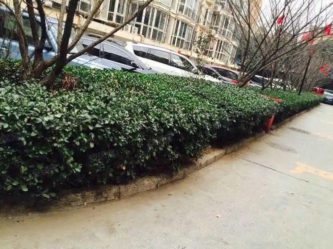 怡景嘉园,光明南大街68号-邯郸怡景嘉园二手房,租房,房价-邯郸安居客