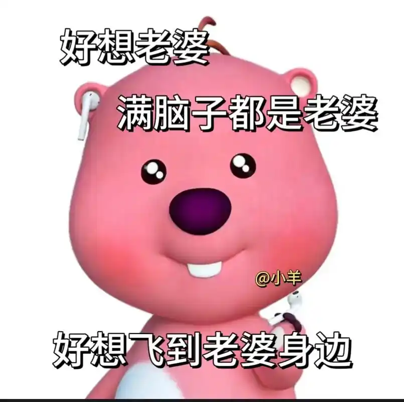 好像脑子坏了,满脑子都是老婆#loopy表情包 #发给对象表 - 抖音