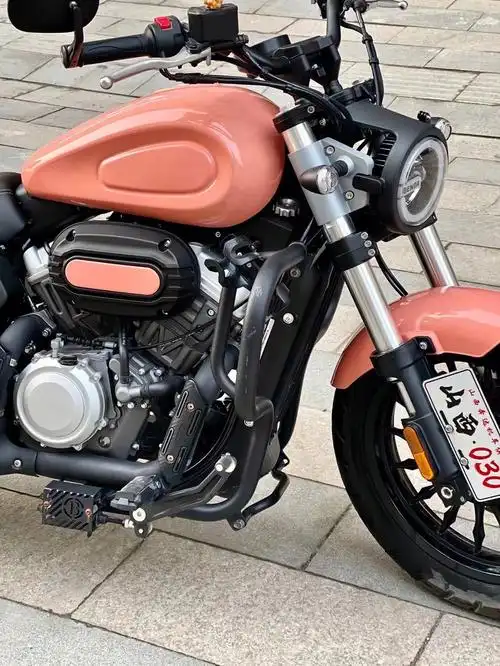 金吉拉改色案例