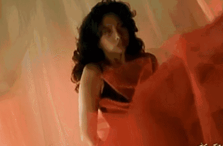 455_298gif 动态图 动图