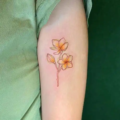 鸡蛋花纹身属于我的海岛纪念品