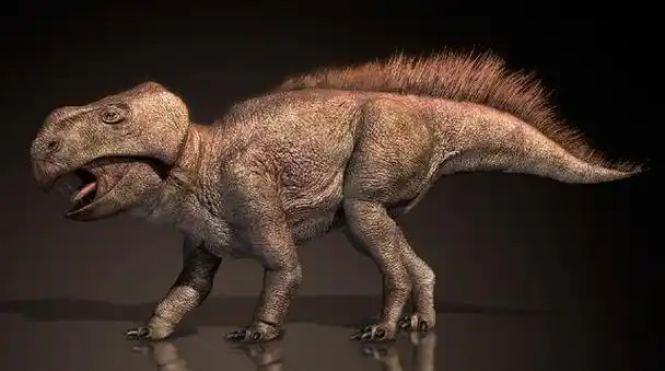 小角龙(microceratops)是一种生活在侏罗纪时期的小型角龙类恐龙,它是