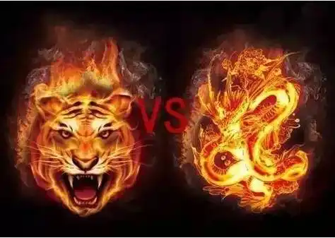 虎配龙婚配好不好属虎和属龙相配吗