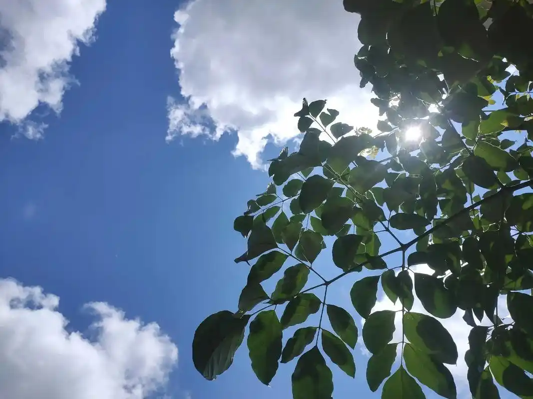 可以分享一张你拍的天空美照吗 拍了很多天空照片,确无分享之 - 兑趑