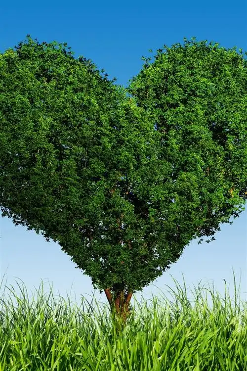 绿色爱心树,草 1080x1920 iphone 8/7/6/6s plus 壁纸,图片,背景,照片