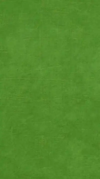 绿色壁纸背景图 文字 (@邶辞辞)