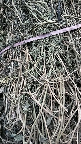 中药材白英白毛毛风藤毛秀才秀才排风500g其他药食同源食品