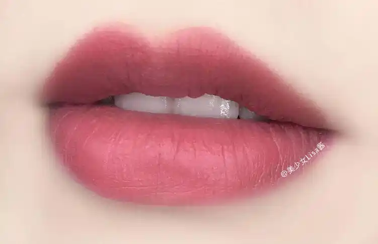 20支豆沙色口红试色 | 秋天来了,你的口红也该换季了!