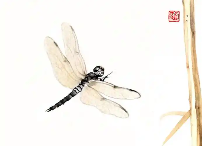 国画  #小品  #工笔画