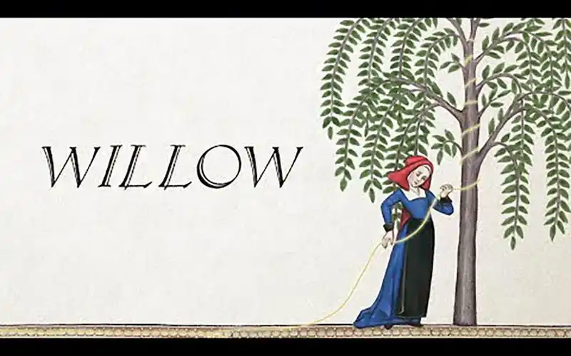 中世纪古英语翻唱霉霉taylorswift新单willow好听到爆