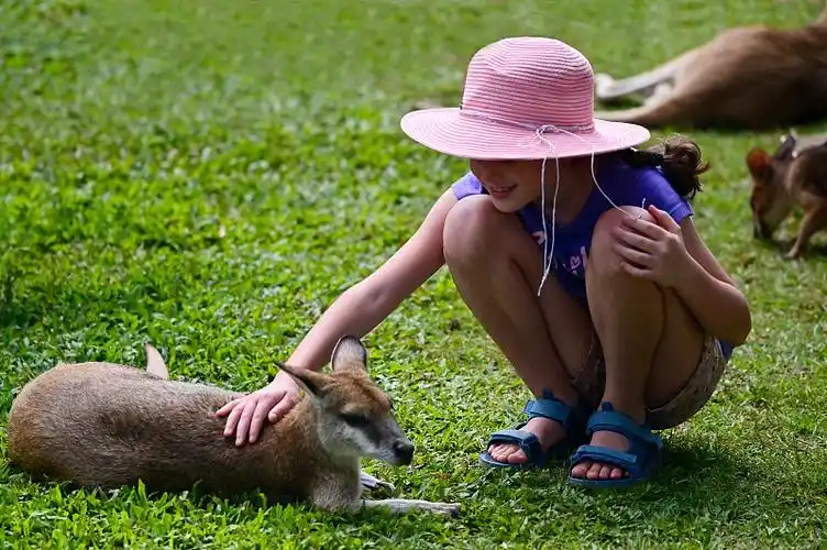 年轻的澳大利亚女孩抚摸着一只小袋鼠图片下载