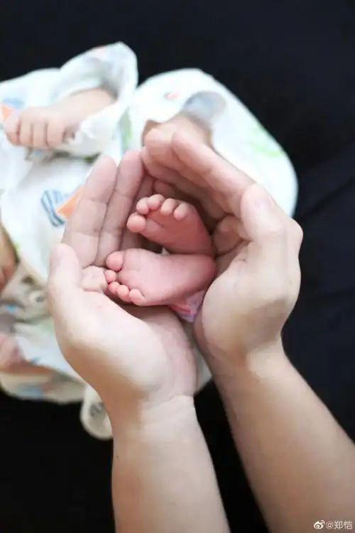 baby曝郑恺6个月女儿会弹钢琴,经常跟苗苗探讨育儿经_腾讯新闻