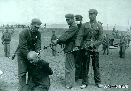 你以前曾经在什么地方看到过枪毙死刑犯的一些场景?