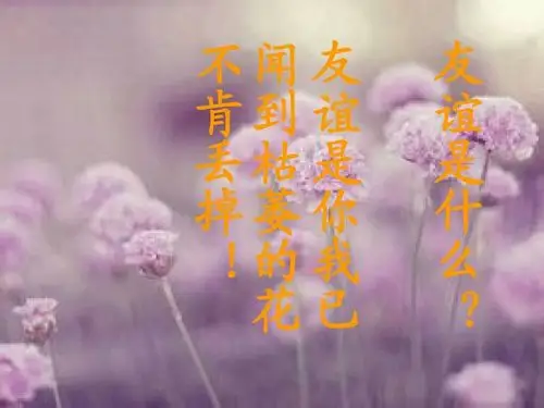 朋友一生一起走,那些日子不再有