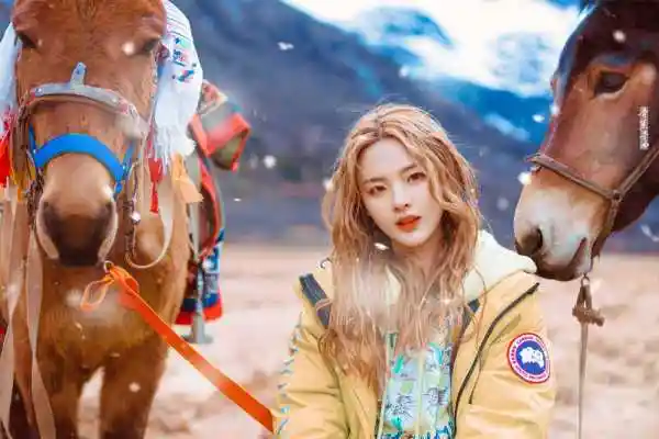 火箭少女各个人的应援色是什么