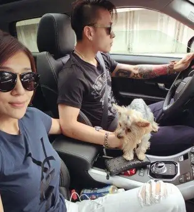 人气男主洪尧牵手成功,曹赢心住在国外为了见洪尧做了12个小时的飞机