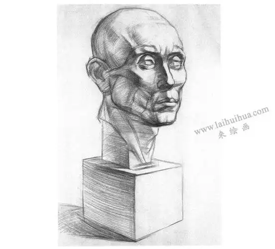 石膏肌肉头像素描画法步骤04