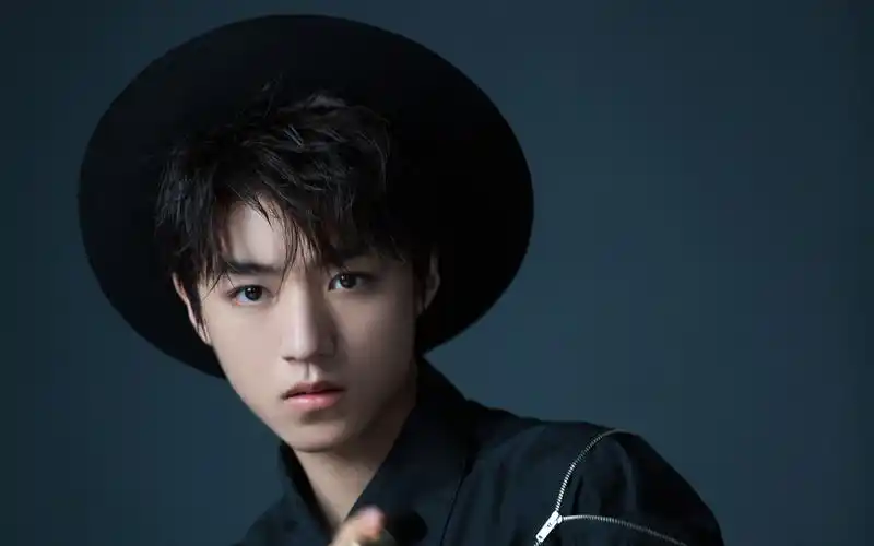 王俊凯品牌代言帅气图片桌面壁纸