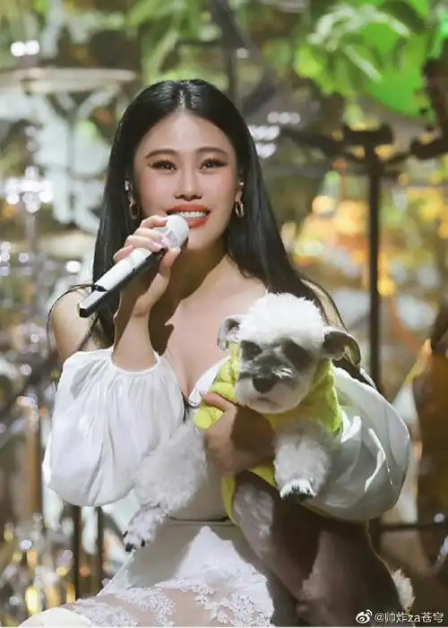 好声音时期的袁娅维##中国好声音时期的袁娅维