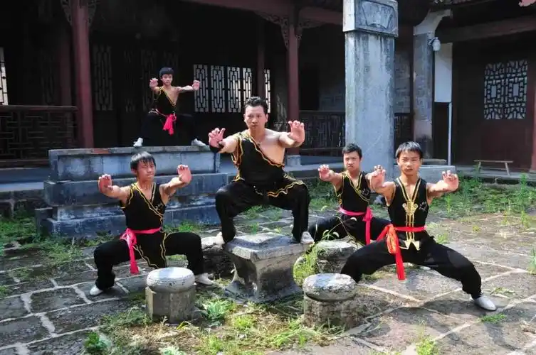 【宝庆风情】独具地域特色的宝庆"岩鹰拳"