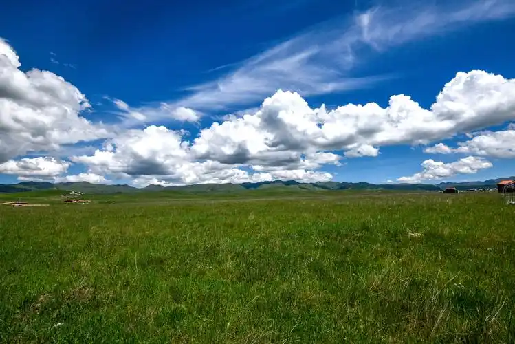 天蓝地绿的桑科草原
