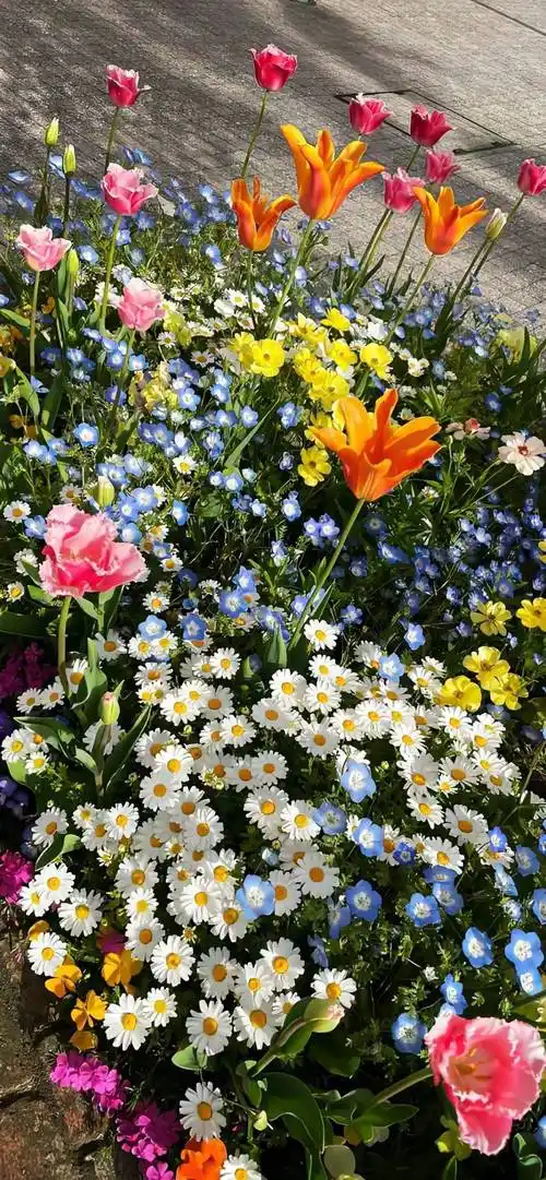 壁纸小众全面屏壁纸