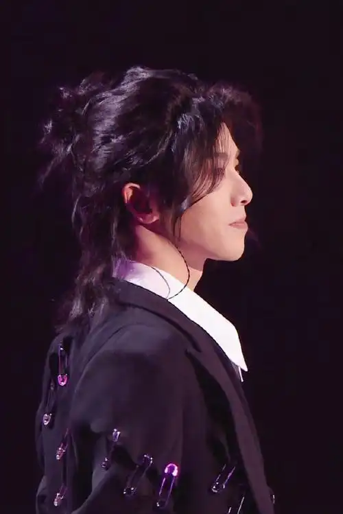 华晨宇半扎丸子头