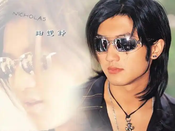 谢霆锋个人资料谢霆锋简介及图片