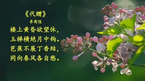 2019年部编人教版六年级语文上册第2课《丁香结》精品课件ppt