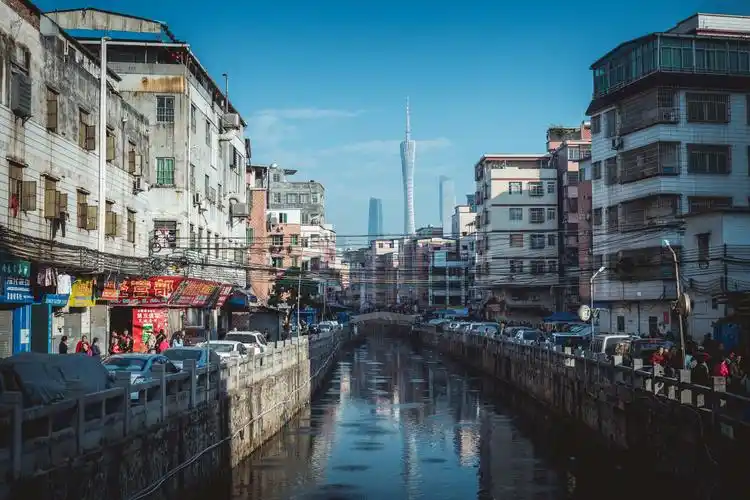 广州丨城市之林