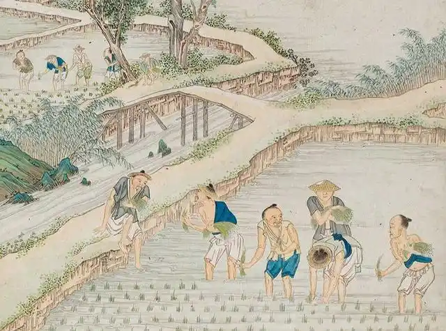 中国人的种菜能力究竟有多强用7的土地养活了22的人口