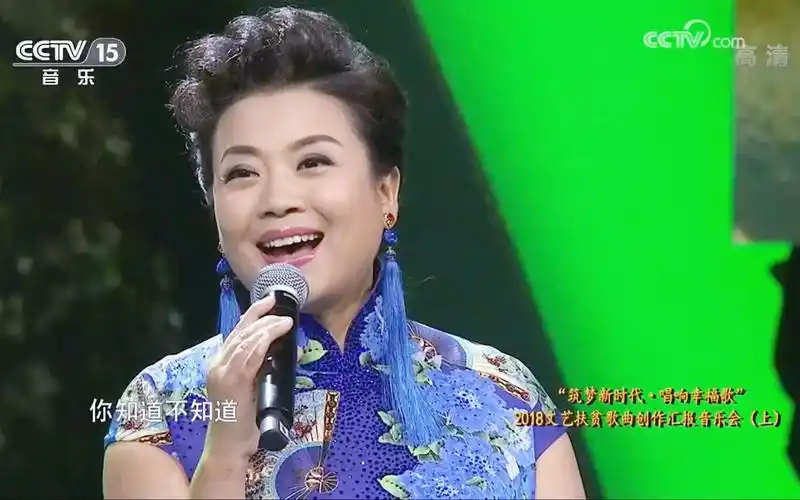 张也又见梨花2018文艺扶贫歌曲创作汇报音乐会p1调色版p2录屏版