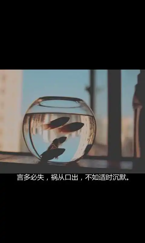 言多必失祸从口出不如适时沉默