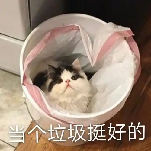 萌娃gif猫星人gif当个垃圾挺好的gif我很好gif呆萌gif搞怪gif