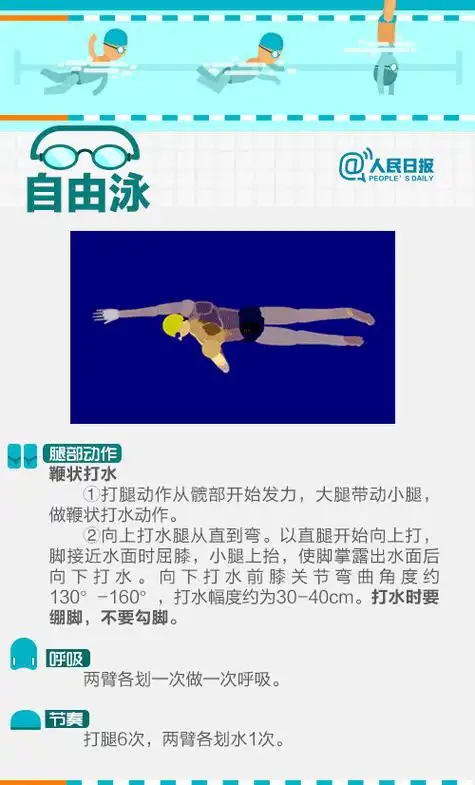 蛙泳,自由泳,仰泳,蝶泳的标准动作都是什么?