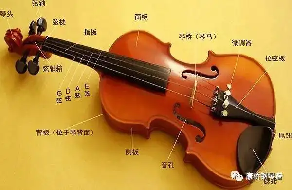 音乐知识这样保养小提琴你做对了吗