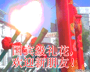 296_238gif 动态图 动图