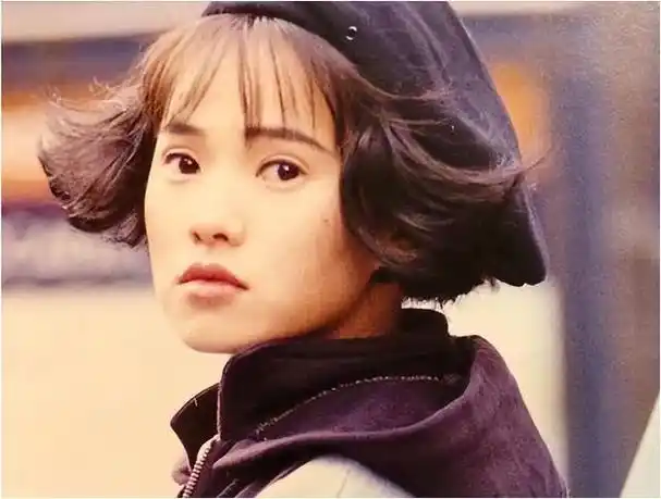 同林鸟共渡难关伊能静秦昊完成互救爱情力量显神奇