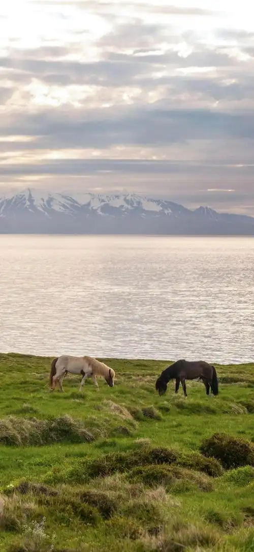 壁纸 风景 摄影 桌面 700_1518 竖版 竖屏 手机