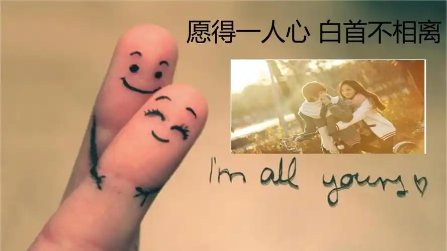 愿得一人心白首不相离pptx9页