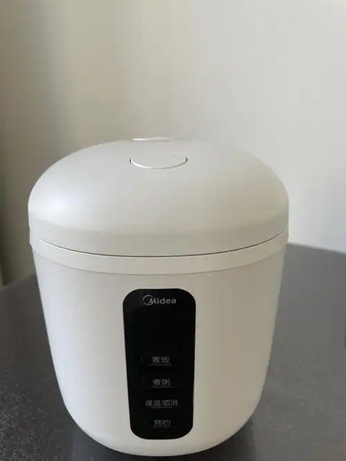 特价迷你电饭煲