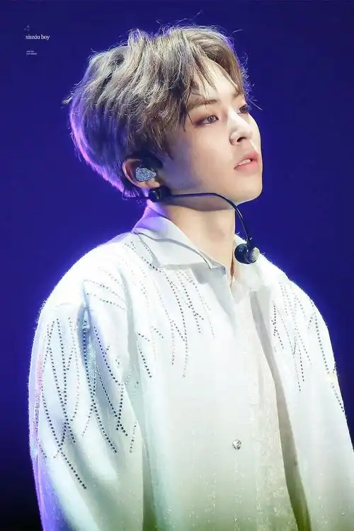 exo xiumin 金珉锡